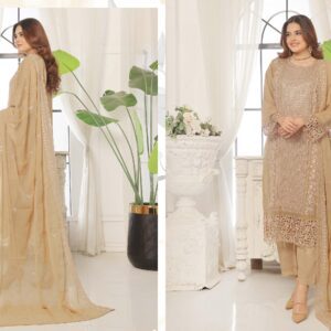 Chiffon Collection Pakistani 3 Piece